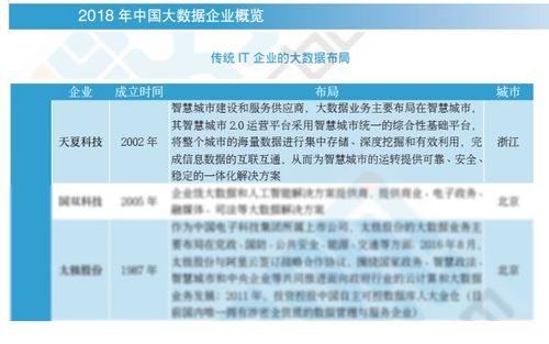 2018中國大數據企業報告出爐，天夏科技榮登IT企業大數據布局榜信息系統集成服務領域